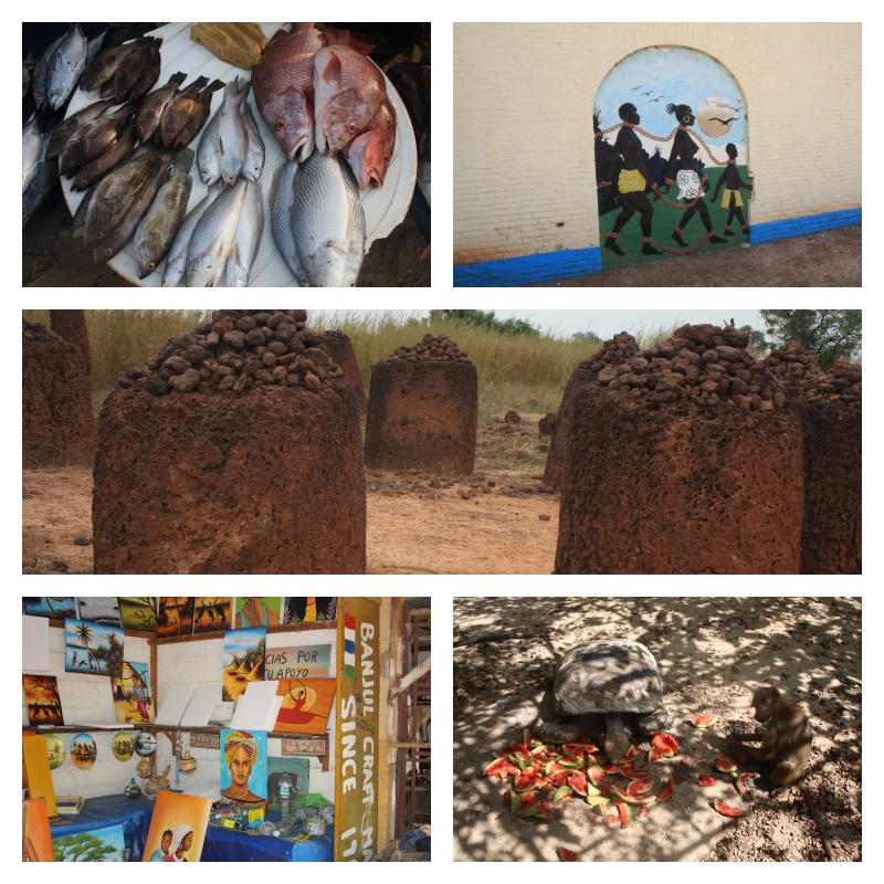 Mosaico de Gambia